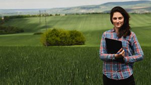 vagas para agrônomos em mt