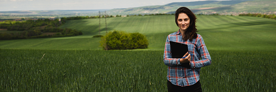 vagas para agrônomos em mt