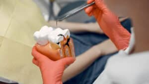 endodontia