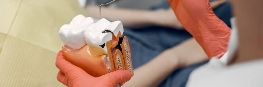endodontia